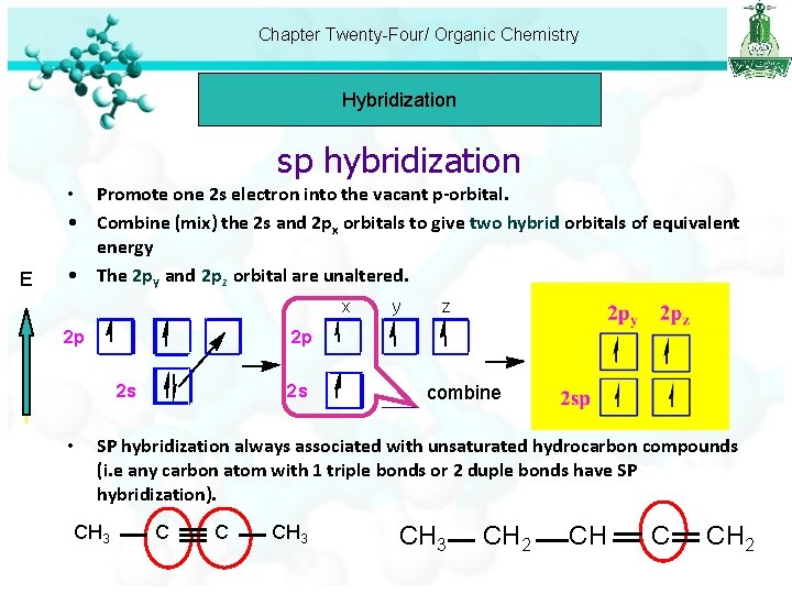 Chapter Twenty-Four/ Organic Chemistry Hybridization sp hybridization E • Promote one 2 s electron