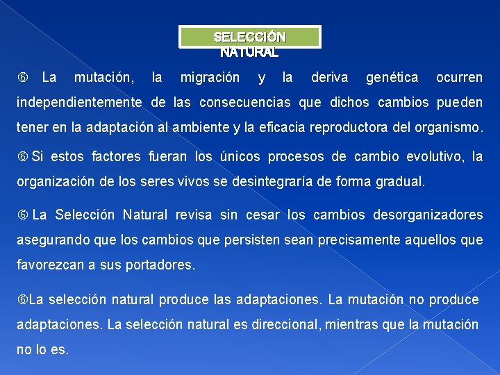 SELECCIÓN NATURAL La mutación, la migración y la deriva genética ocurren independientemente de las