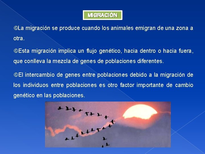 MIGRACIÓN La migración se produce cuando los animales emigran de una zona a otra.