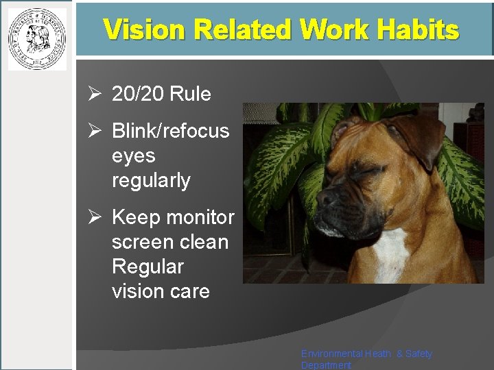 Vision Related Work Habits Ø 20/20 Rule Ø Blink/refocus eyes regularly Ø Keep monitor