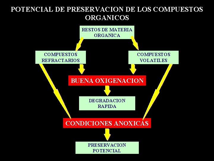 POTENCIAL DE PRESERVACION DE LOS COMPUESTOS ORGANICOS RESTOS DE MATERIA ORGANICA COMPUESTOS REFRACTARIOS COMPUESTOS