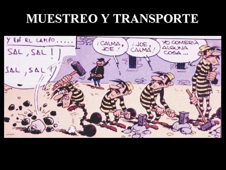 MUESTREO Y TRANSPORTE 