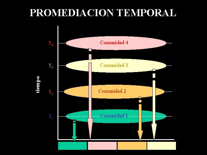 tiempo PROMEDIACION TEMPORAL T 4 Comunidad 4 T 3 Comunidad 3 T 2 T