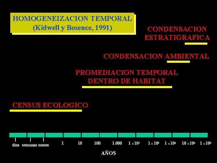 HOMOGENEIZACION TEMPORAL (Kidwell y Bosence, 1991) CONDENSACION ESTRATIGRAFICA CONDENSACION AMBIENTAL PROMEDIACION TEMPORAL DENTRO DE