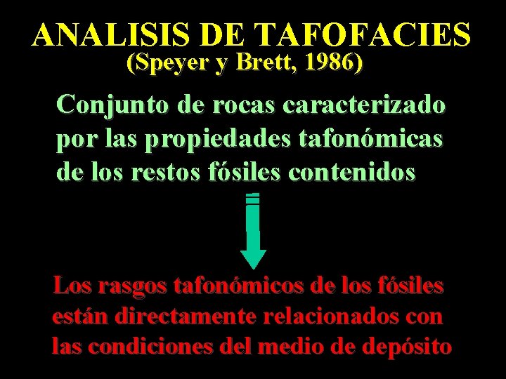 ANALISIS DE TAFOFACIES (Speyer y Brett, 1986) Conjunto de rocas caracterizado por las propiedades