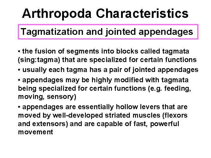 Arthropoda Characteristics Tagmatization and jointed appendages • the fusion of segments into blocks called