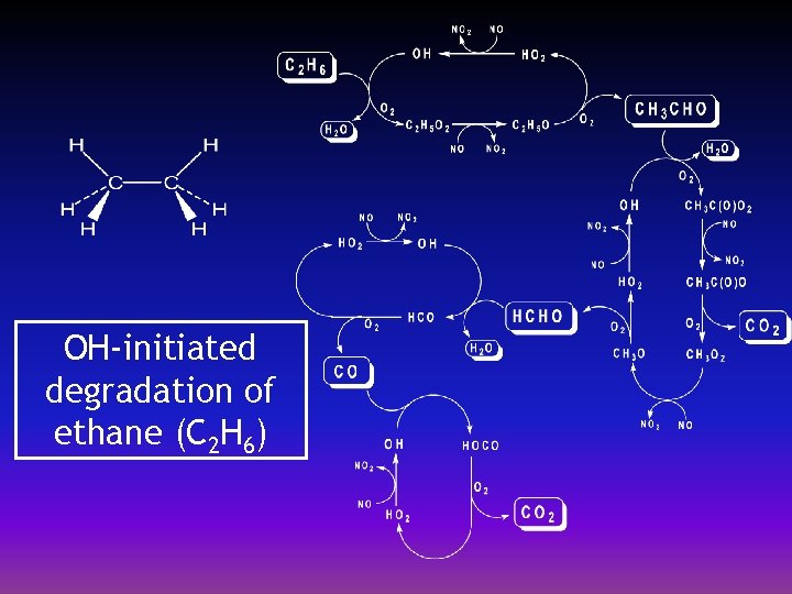 OH-initiated degradation of ethane (C 2 H 6) 