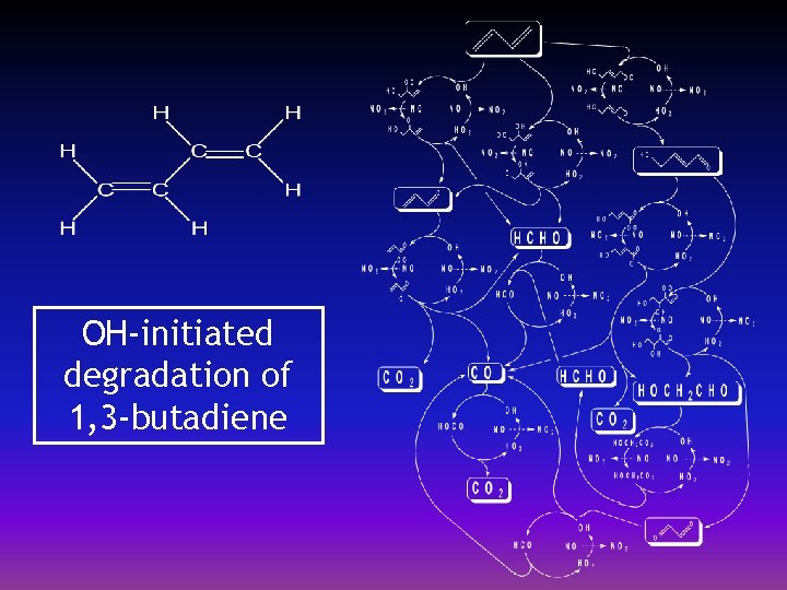 OH-initiated degradation of 1, 3 -butadiene 