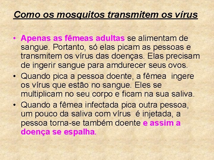 Como os mosquitos transmitem os vírus • Apenas as fêmeas adultas se alimentam de