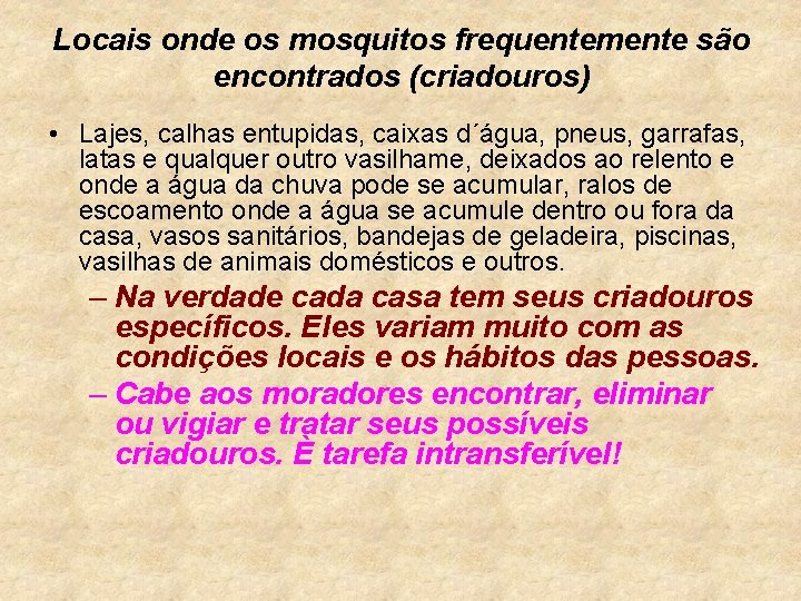 Locais onde os mosquitos frequentemente são encontrados (criadouros) • Lajes, calhas entupidas, caixas d´água,