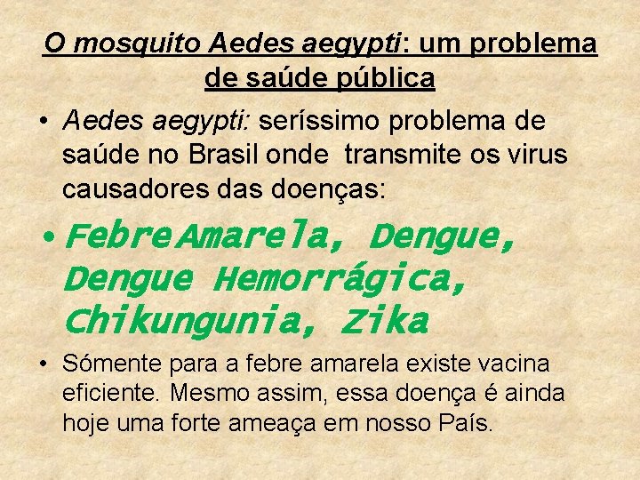 O mosquito Aedes aegypti: um problema de saúde pública • Aedes aegypti: seríssimo problema