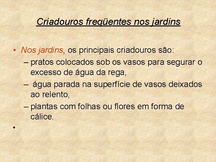 Criadouros freqüentes nos jardins • Nos jardins, os principais criadouros são: – pratos colocados