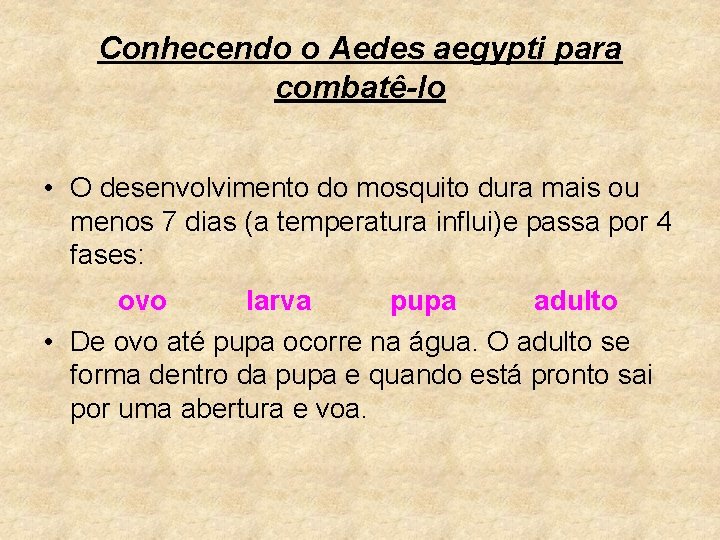 Conhecendo o Aedes aegypti para combatê-lo • O desenvolvimento do mosquito dura mais ou