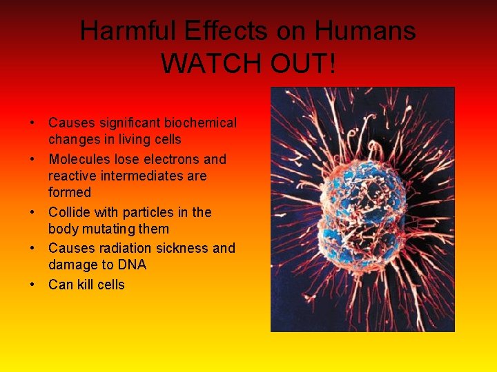 Harmful Effects on Humans WATCH OUT! • Causes significant biochemical changes in living cells Harmful Effects on Humans WATCH OUT! • Causes significant biochemical changes in living cells