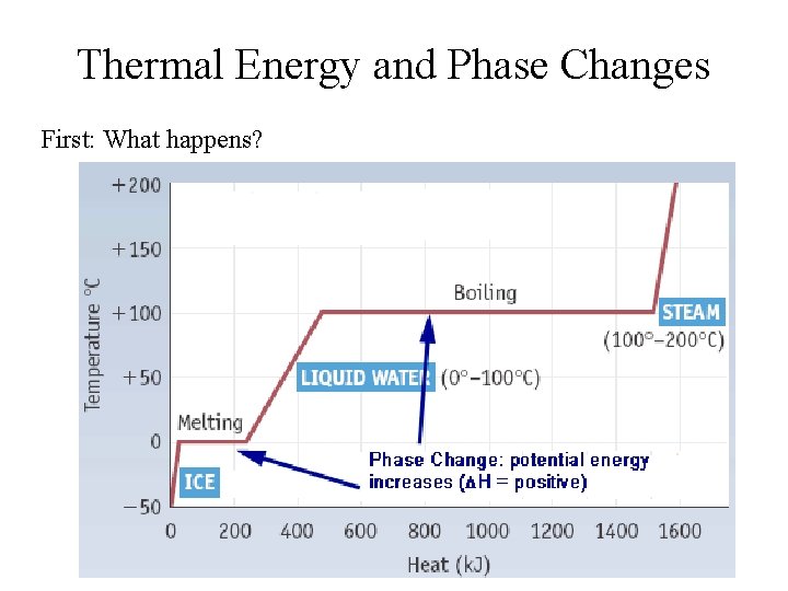 Thermal Energy and Phase Changes First: What happens? 