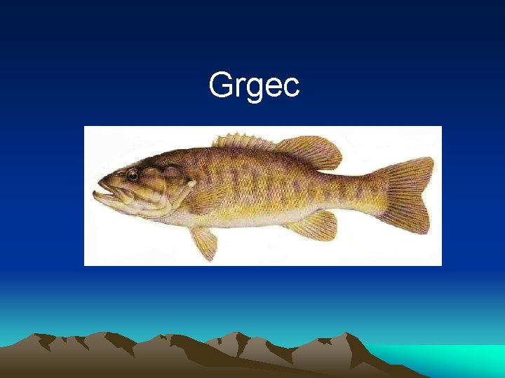 Grgec 