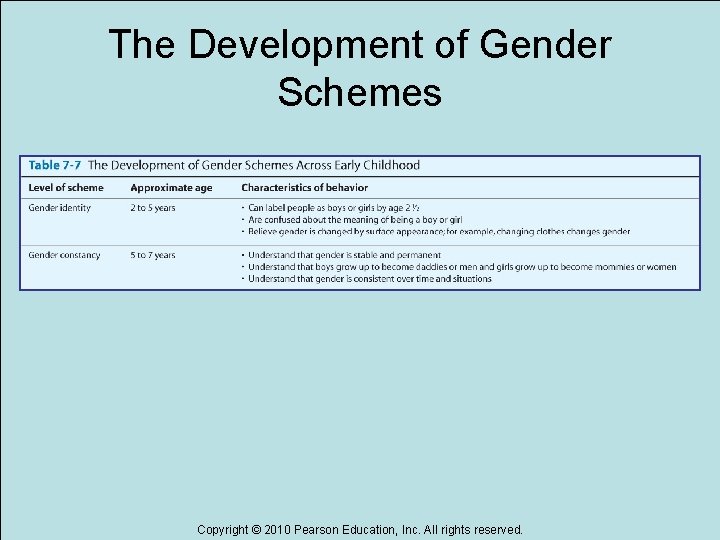 The Development of Gender Schemes Copyright © 2010 Pearson Education, Inc. All rights reserved.