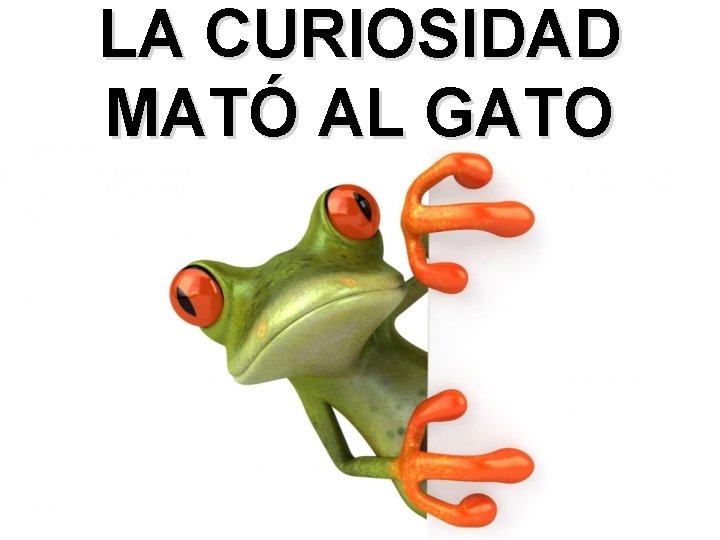 LA CURIOSIDAD MATÓ AL GATO 