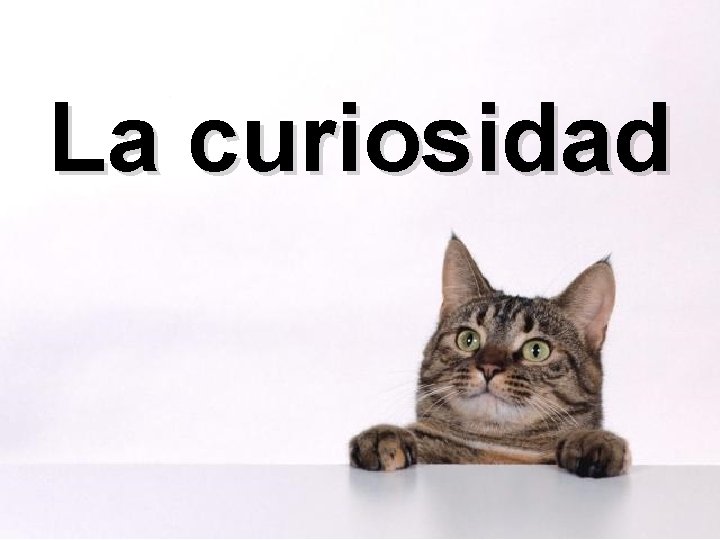 La curiosidad 