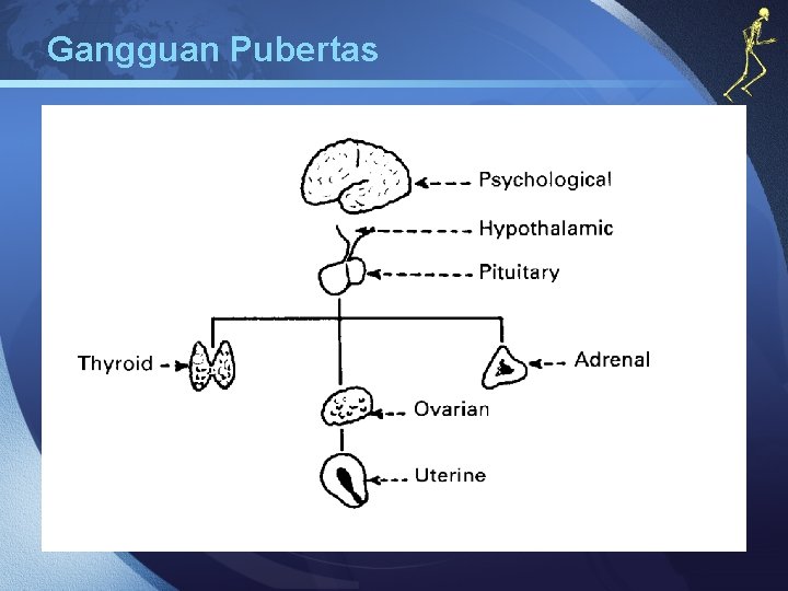 Gangguan Pubertas 