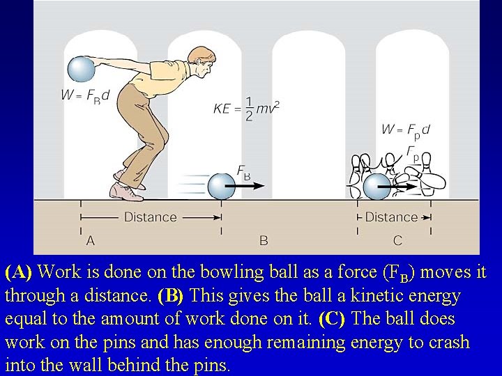 (A) Work is done on the bowling ball as a force (FB) moves it
