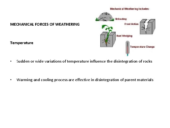 MECHANICAL FORCES OF WEATHERING Temperature • Sudden or wide variations of temperature influence the