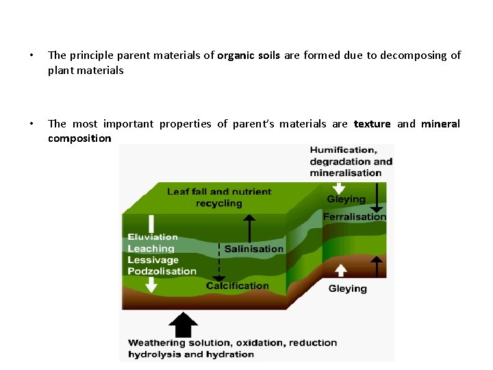  • The principle parent materials of organic soils are formed due to decomposing