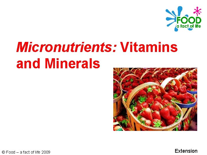 Micronutrients: Vitamins and Minerals © Food – a fact of life 2009 Extension 
