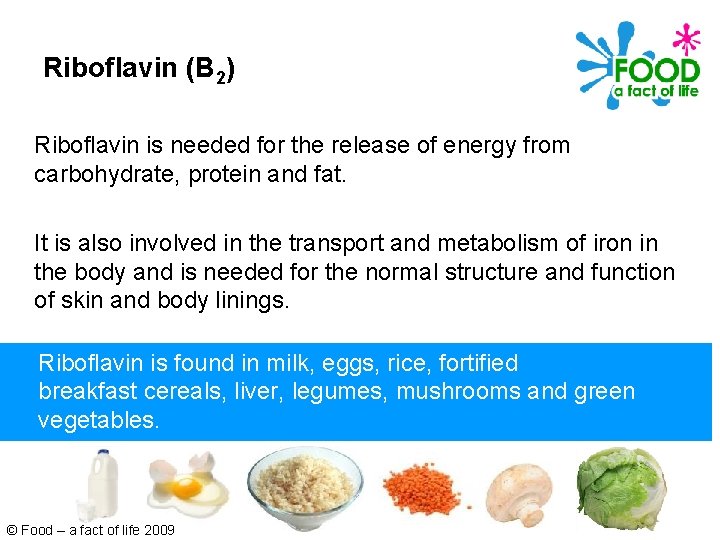 Riboflavin (B 2) Riboflavin is needed for the release of energy from carbohydrate, protein