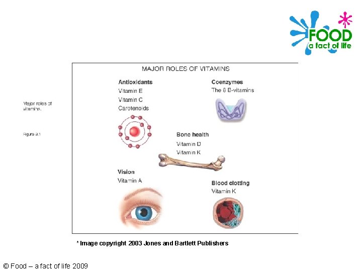 * Image copyright 2003 Jones and Bartlett Publishers © Food – a fact of