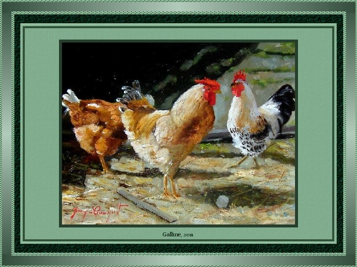 Galline, 2011 