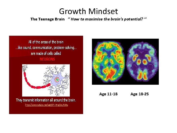 Growth Mindset The Teenage Brain ‘’ How to maximise the brain’s potential? ’’ Age