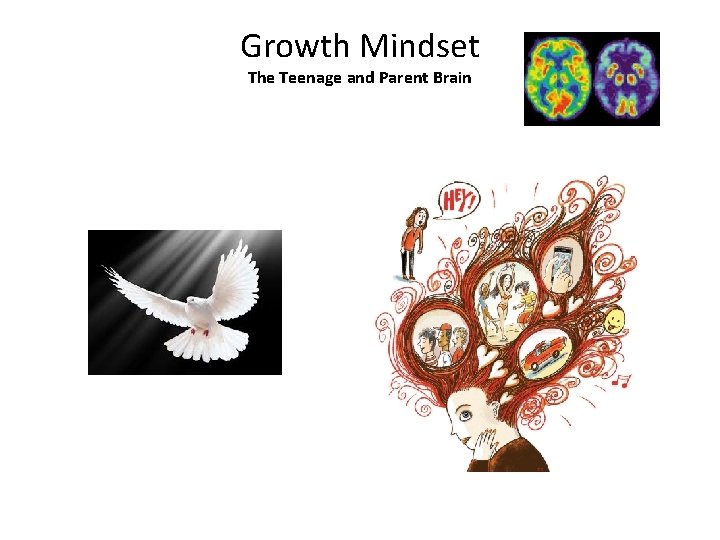 Growth Mindset The Teenage and Parent Brain 