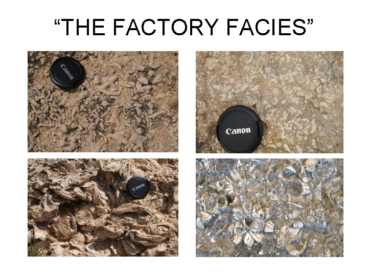 “THE FACTORY FACIES” 