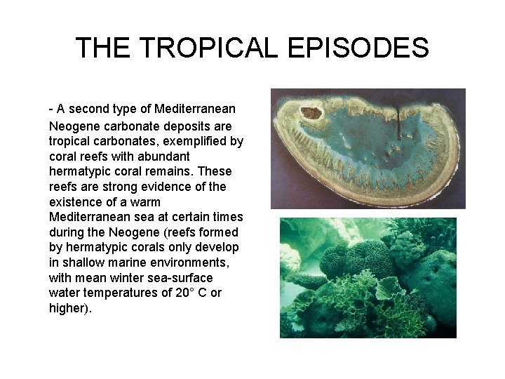 THE TROPICAL EPISODES - A second type of Mediterranean Neogene carbonate deposits are tropical