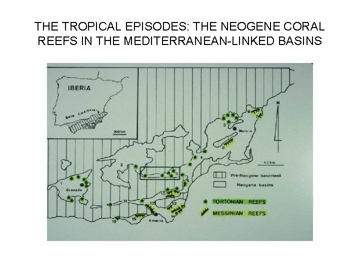 THE TROPICAL EPISODES: THE NEOGENE CORAL REEFS IN THE MEDITERRANEAN-LINKED BASINS 