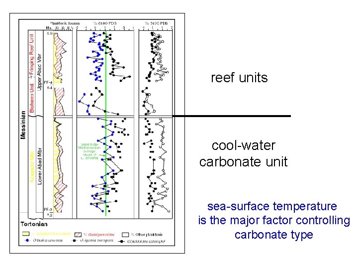 reef units cool-water carbonate unit sea-surface temperature is the major factor controlling carbonate type