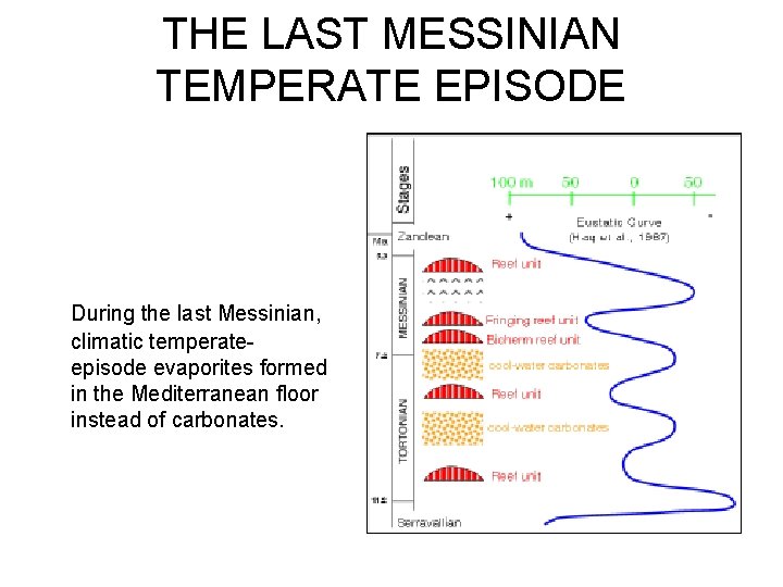 THE LAST MESSINIAN TEMPERATE EPISODE During the last Messinian, climatic temperateepisode evaporites formed in