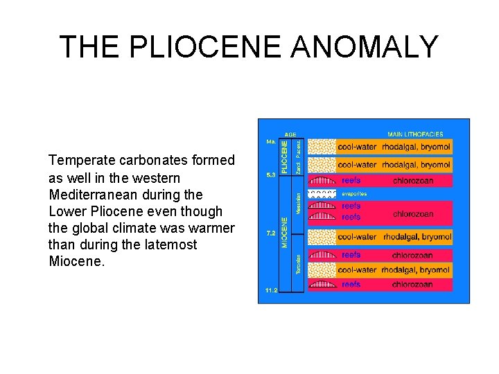 THE PLIOCENE ANOMALY Temperate carbonates formed as well in the western Mediterranean during the