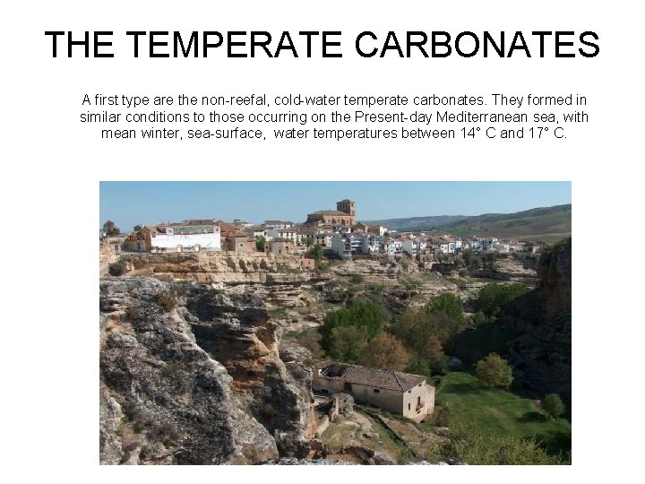 THE TEMPERATE CARBONATES A first type are the non-reefal, cold-water temperate carbonates. They formed