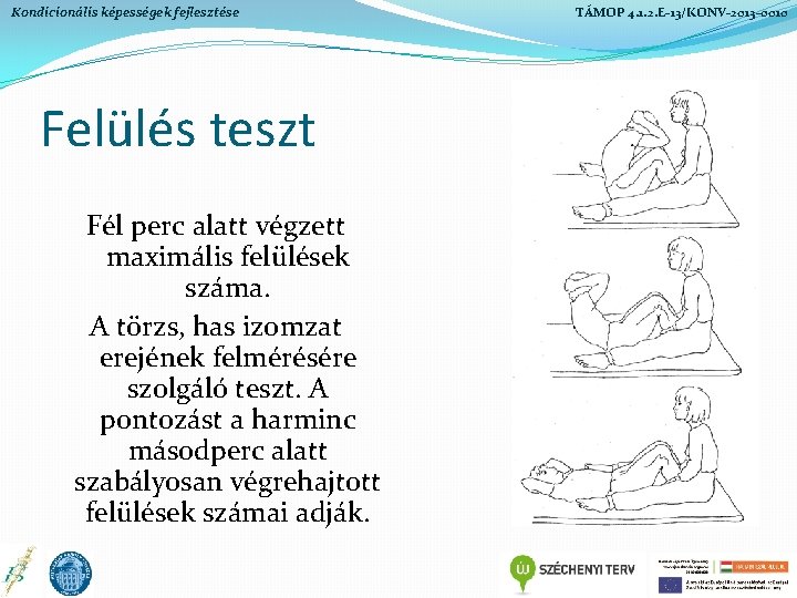 Kondicionális képességek fejlesztése Felülés teszt Fél perc alatt végzett maximális felülések száma. A törzs, Kondicionális képességek fejlesztése Felülés teszt Fél perc alatt végzett maximális felülések száma. A törzs,