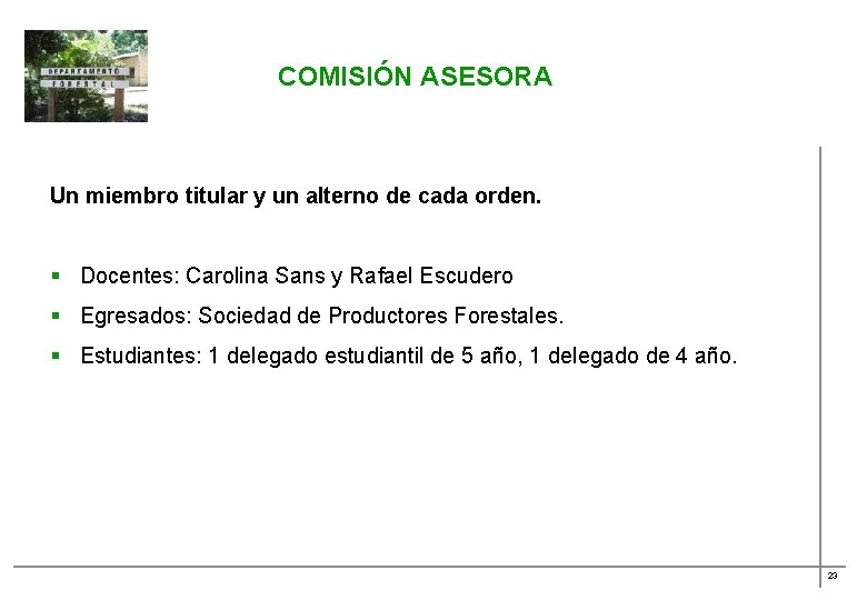 COMISIÓN ASESORA Un miembro titular y un alterno de cada orden. § Docentes: Carolina