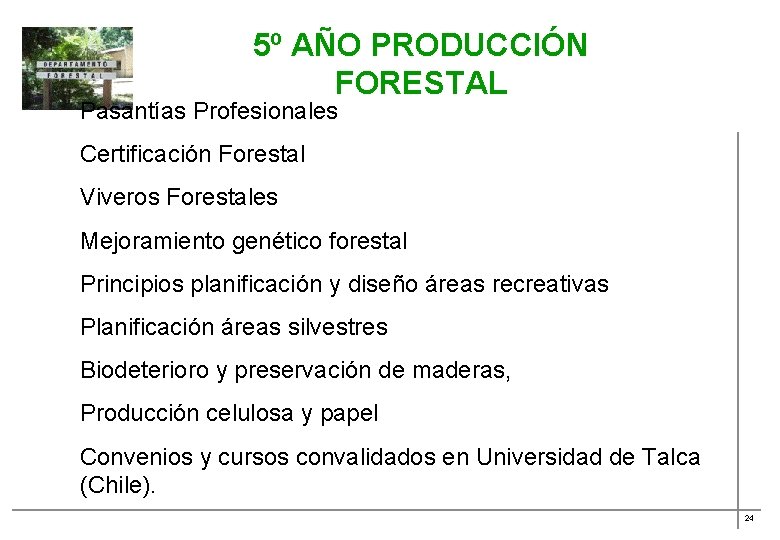 5º AÑO PRODUCCIÓN FORESTAL Pasantías Profesionales Certificación Forestal Viveros Forestales Mejoramiento genético forestal Principios