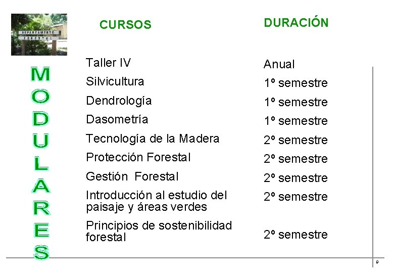 CURSOS DURACIÓN Taller IV Anual Silvicultura 1º semestre Dendrología 1º semestre Dasometría 1º semestre