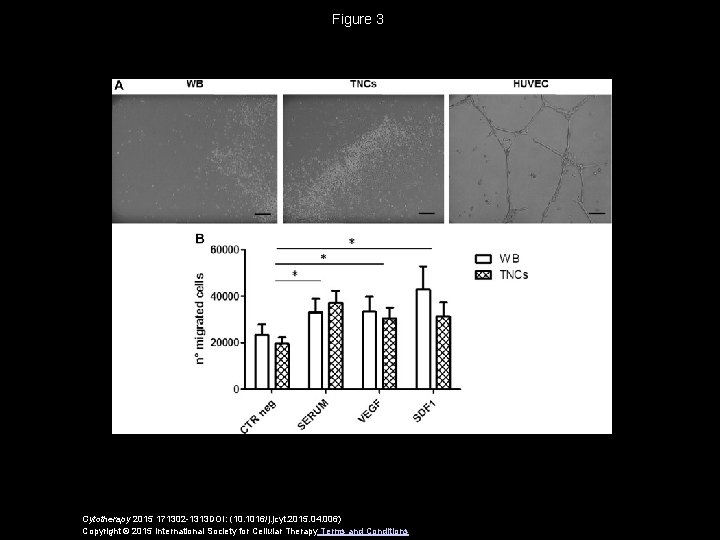 Figure 3 Cytotherapy 2015 171302 -1313 DOI: (10. 1016/j. jcyt. 2015. 04. 006) Copyright