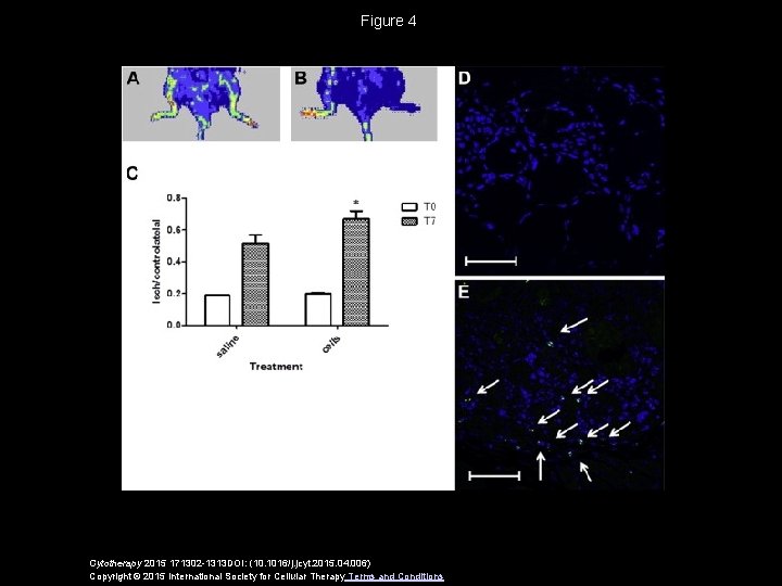 Figure 4 Cytotherapy 2015 171302 -1313 DOI: (10. 1016/j. jcyt. 2015. 04. 006) Copyright