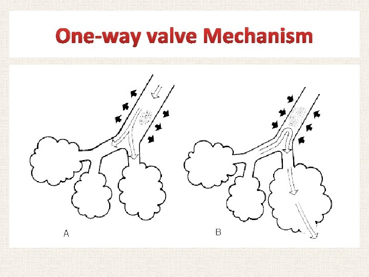 One-way valve Mechanism 