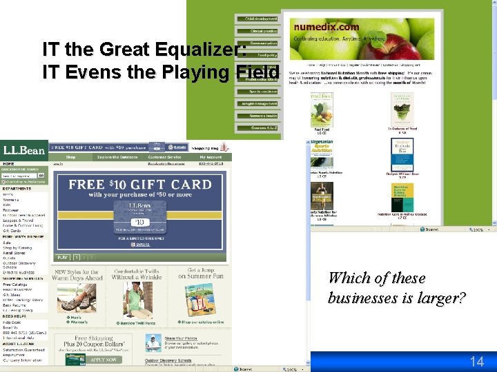 IT the Great Equalizer: IT Evens the Playing Field Which of these businesses is