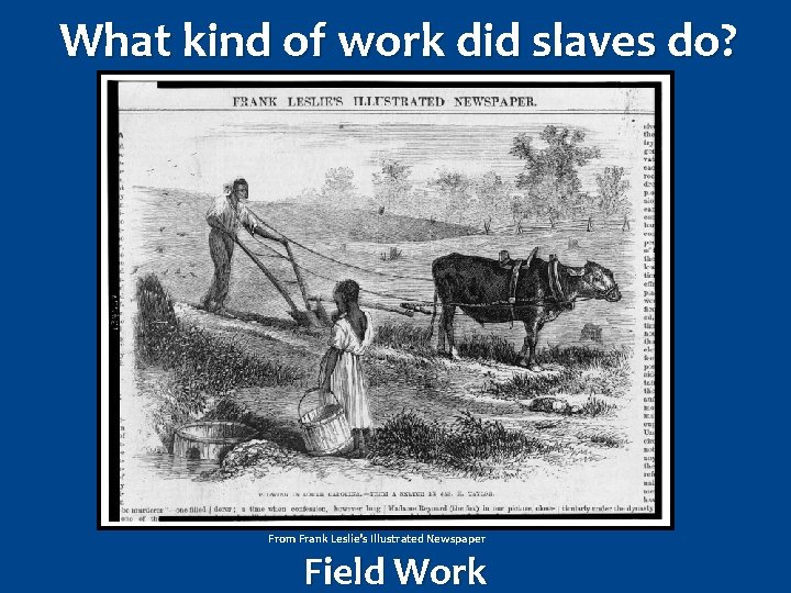 What kind of work did slaves do? From Frank Leslie’s Illustrated Newspaper Field Work