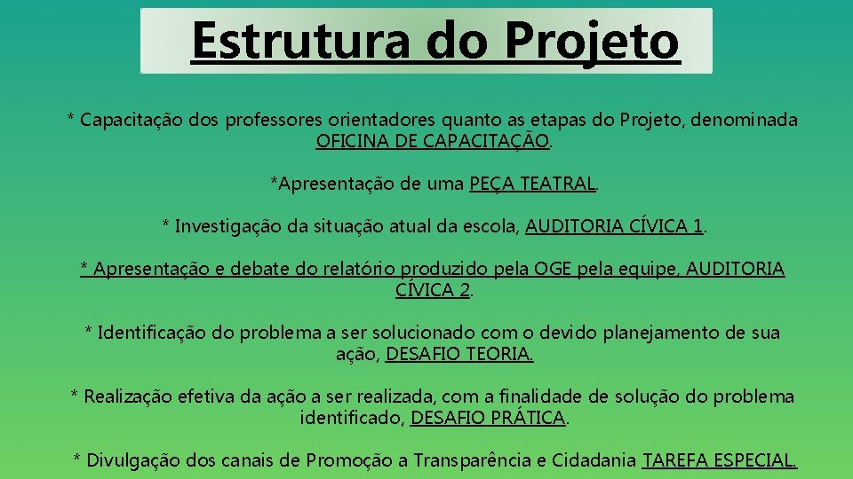 Estrutura do Projeto * Capacitação dos professores orientadores quanto as etapas do Projeto, denominada